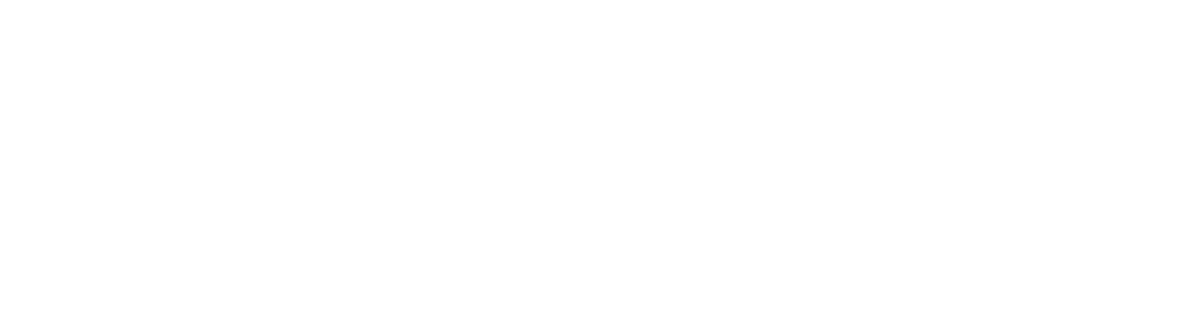NS Partners since 1964